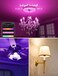 Lepro BC1 AI Smart Candle Bulb E14, Bluetooth &amp; WiFi Smart Bulb C37 Dimmable, Works with Alexa &amp; Google Assistant, Personalized AI Lighting Designer, Music Sync, Colour Changing Lightbulb 5W, 2 Packs