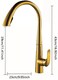 CM RP9082-G Pull-Out Kitchen Faucet &ndash; Gold Finish with Dual Spray Modes &amp; Modern Design