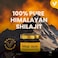 Shilajit Pure Himalayan Resin 20g