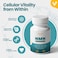 Valeo Nmn Pure Beta Nicotinamide Mononucleotide Capsules - 500mg Powerful Anti-Aging Supplements 30 Capsules
