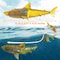 2.4G RC WATERPROOF SHARK（Transparent Light） - Assorted