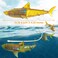 2.4G RC WATERPROOF SHARK（Transparent Light） - Assorted