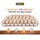 100 Pack Tea Light Candles &ndash; Long Burning Smokeless Dripless White Tealights for Wedding, Party, Home Decor, Spa &amp; Emergency Lighting (pack of 2)