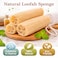 Natural Loofah Sponge for Shower &ndash; Exfoliating Body Scrubber, 100% Natural Loofah for Deep Cleansing &amp; Smooth Skin