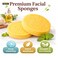 Facial Cleansing Sponge &ndash; Soft &amp; Absorbent Face Sponge for Deep Cleaning, Gentle Exfoliation &amp; Daily Skin Care (Pack of 2)
