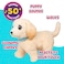 Moose Little Live Pets Ouchies 1Pk Cooper Bo