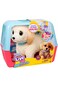 Little Live Pets Ouchies Deluxe Single Pk Hazel Poodle 26733