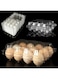 NALACAL Clear Plastic Egg Cartons Eco-friendly Egg Holder, Reusable Egg Cartons for 12 Eggs, Large Blank Egg Cartons for Chicken Farm Business Market Home Refrigerator Storage