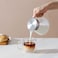 BLACKSTONE Double Wall Glass Coffee Cups Set of 2 300ml Borosilicate Glass Mugs with Handle Clear Insulated Tea Latte Espresso Cappuccino Cups, DH835