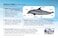 Marine Rescue Dolphin Plush Toy &ndash; Soft &amp; Cuddly Ocean Animal Stuffed Dolphin, Kids &amp; Collectors&rsquo; Plush