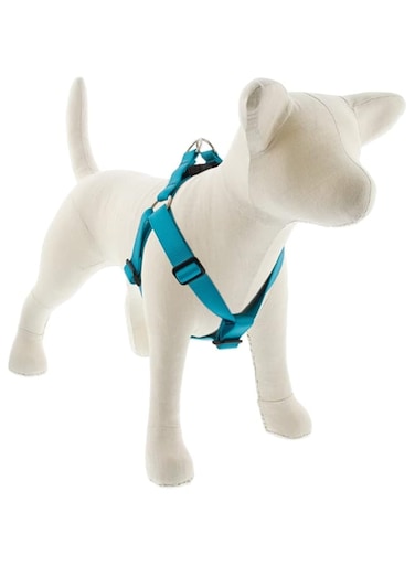 Lupine Basics 1 In Aqua Step-In Harness 19"-28", 49-68Cm
