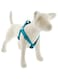 Lupine Basics 1 In Aqua Step-In Harness 19"-28", 49-68Cm