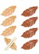 8Pcs 2 Colors Wooden Leaf Chopstick Rest, Natural Elegant Brown Leaf Chopstick Stand Rack, Portable, Washable, Reusable for Kitchen Supplies Cooking Utensils Tableware Gift Hotel