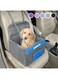 Henkelion Small Dog Car Seat, Dog Booster Seat for Car Front Seat, Pet Booster Car Seat for Small Dogs Medium Dogs Within 30 lbs, Reinforced Dog Car Booster Seat Harness with Seat Belt - Grey
