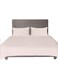 Smart Flat Bed Sheet Plain Cotton Bed Sheet with Pillow Covers (50x70cm) Ivory