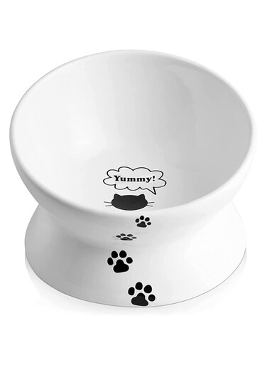 Masroo Cat Bowl Anti Vomiting, Raised Cat Food Bowls, Tilted Elevated Cat Bowl, Ceramic Pet Food Bowl for Flat Faced Cats, Small Dogs, Protect Pet's Spine, Dishwasher Safe