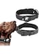 Reflective AirTag Dog Collar, Heavy Duty Air Tag Dog Collar, Padded Pet Collar with AirTag Dog Collar Holder Case, Adjustable for Small Medium Large Breeds