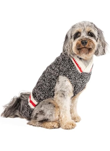 Chilly Dog Boyfriend Sweater (X-Large)