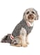 Chilly Dog Boyfriend Sweater (X-Large)
