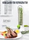 Vanilla vegetable fresh-keeping box, pressure resistant and environmentally friendly fresh-keeping device, creative coriander fresh-keeping cup