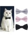 3 Pack Cat Collars, Cat Accessories for Pet Kitten Cats and Small Dogs Pets Adjustable
