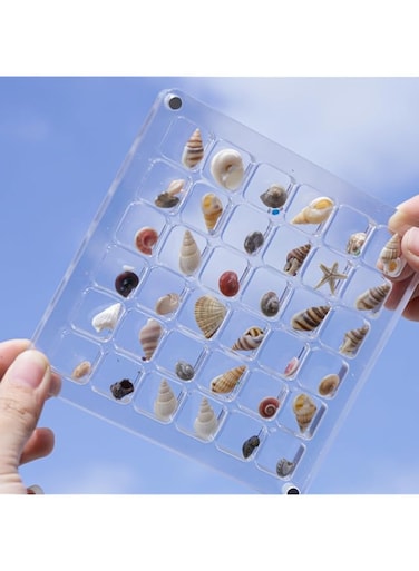 Excefore Acrylic Magnetic Seashell Display Box, 36 Grids Square Display Box with Magnetic Closure, Organize and Showcase Seashells, Starfish, and Trinkets, Perfect for Jewelry, Beads, Nail Art