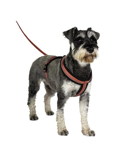 HALTI Comfy Harness, Size Small, Lightweight, Fleece-Lined, Reflective &amp; Adjustable Dog Harness, Front &amp; Back Ring for a Dog Lead, Great for Puppy Walks, Available Sizes for Small, Medium &amp; Large Dogs