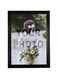 Photo Frame PVC   A4 Picture Photo Frames, Black   (Photo Not Included)