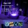 Portable Electric Clothes Dryer 1300W High Power Foldable Drying Rack with 4-Gear Timer &amp; Pasteurization