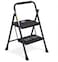 2 Step Ladder