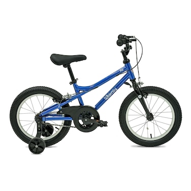 Whimsy - Pro Aluminum 16 Inch Kids Bike - Blue