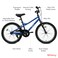Whimsy - Pro Aluminum 20 Inch Kids Bike - Blue