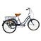 Mogoo Hauler 6 Speed Adult Tricycle - 24 inch - Blue