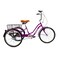 Mogoo Hauler 6 Speed Adult Tricycle - 24 inch - Purple