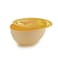 Snips Melon Saver with Freshness Lid &ndash; Made in Italy