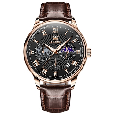 OLEVS 2893 Men Multifunctional Business Quartz Watch &ndash; Brown+Black