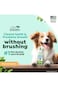 TropiClean Fresh Breath No Brushing Clean Teeth Dental &amp; Oral Care Gel for Dogs, 2oz