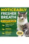 TropiClean Fresh Breath Dental Health Solution for Cats, 16oz