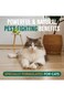 TropiClean Natural Flea &amp; Tick No Rinse Shampoo for Cats - 7.4 oz