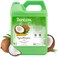 TropiClean Gentle Coconut Hypoallergenic Puppy &amp; Kitten Shampoo, 1 gallon