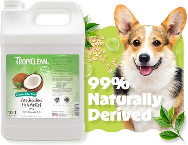 TropiClean Oatmeal &amp; Tea Tree Medicated Itch Relief Shampoo for Pets, 1 gallon