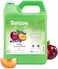 TropiClean Pure Plum High Concentrate Shampoo for Pets, 1 gallon