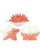TERRIFI Set of 3 Jewelry Dish Trays - Exquisite Ceramic Jewelry Plates for Rings, Earrings, Necklaces, and Bracelets - Cute Decorative Trays - Mother's Day Gift (Pink Starfish and Conch Shell)