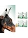 Azonee 4-Pack Dog Ear Posting Kit for Doberman Pinschers, Doberman Dog Ear Posting Kit, Dog Ear Stand Up Support Tool, Tape for Ear Correction and Vertical Hold, For Doberman Pinscher Dog