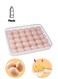 Large Capacity Plastic Fridge Refrigerator Egg Storage Tray With Lid 13.5X2.1X10.2Inch Clear