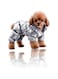Sweet seven Winter Warm Waterproof Puppy Down Jacket - Lightweight Outdoor Padded Pet Vest for Small Dogs, Windproof Snowsuit Cold Weather Apparel（Size L）