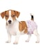 Mumoo Bear Disposable Pet Diapers Female Dogs Super Absorbent Soft Heating Pee Liners S Including 16Count Puppy Cats (Pink)