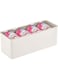 4basix Plastic Kitchen Pantry and Fridge Storage Organizer Box Containers with Hinged Lid for Shelves or Cabinets, Holds Food, Snacks, Drinks, Seasoning, Condiments, Utensils, Cream/Clear