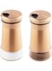 2 Pcs Salt and Pepper Shakers, 304 Stainless Steel Salt Shaker with Adjustable Pour Hole, Clear Bottom Jar Bottle Container, Sealing, Strong and Durable, for Home Kitchen Use, Gold