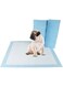 Simple Training Pads Pack of 25 Convenient for Potty 60x40 Training Absorbent and Leak Proof Ideal for Pets